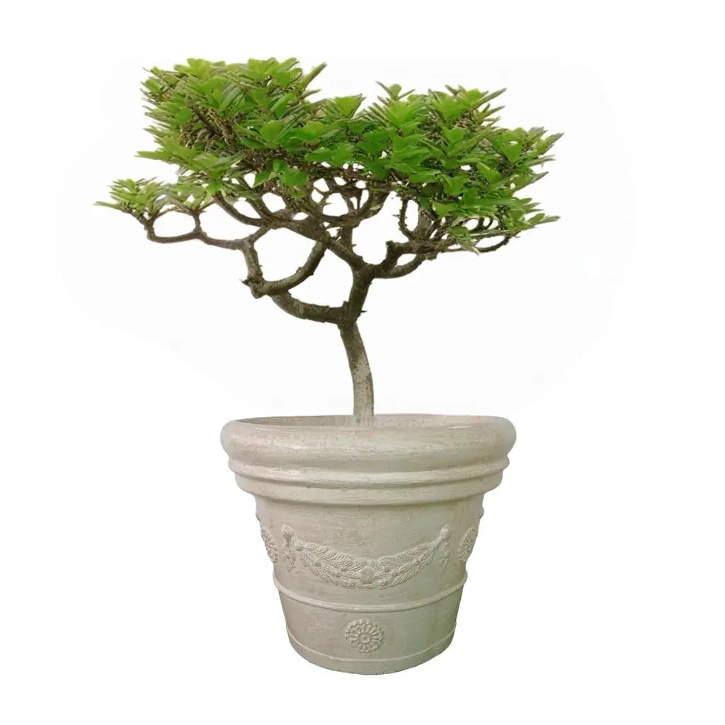 11 GRC ROUND POT BIG