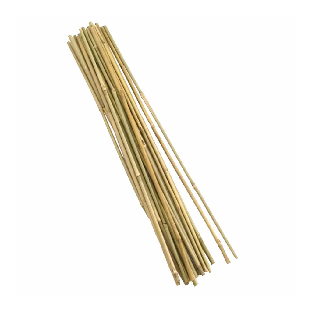 BAMBOO STICK