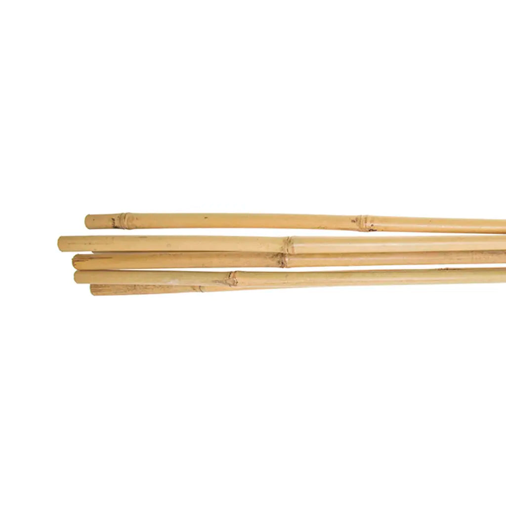 BAMBOO STICK