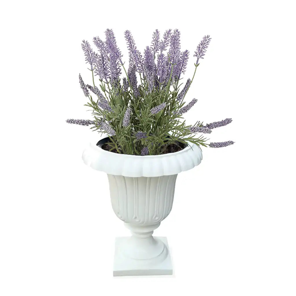 Antique GRP DECOREX 501/A POT