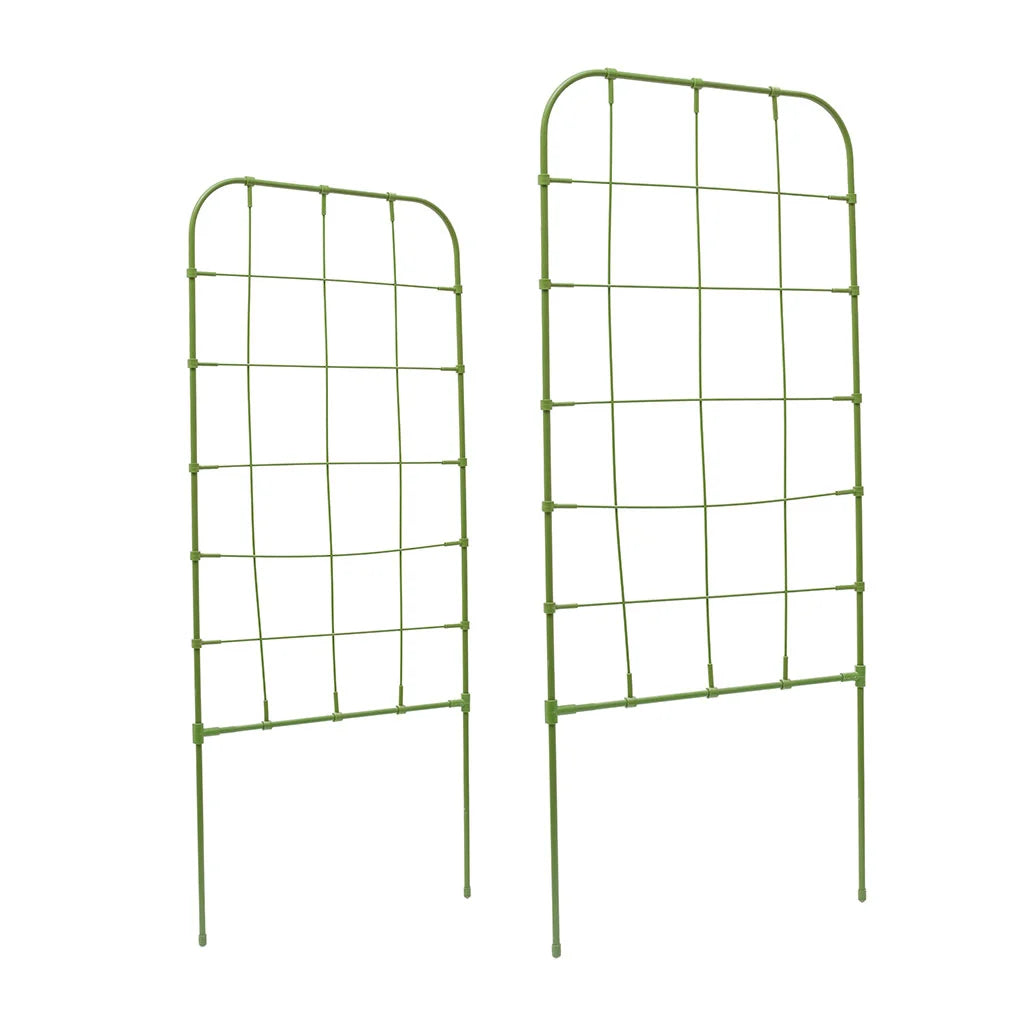 NET FORM CLIMBING FRAME