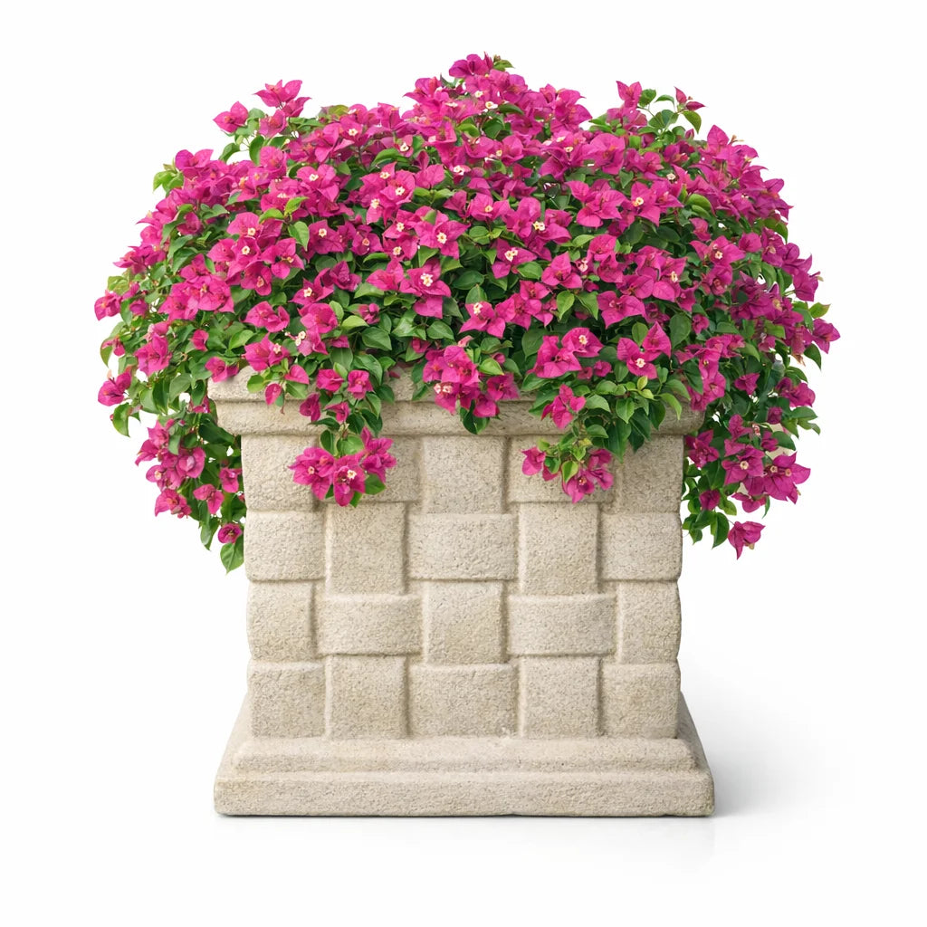 GRC POT NO 42