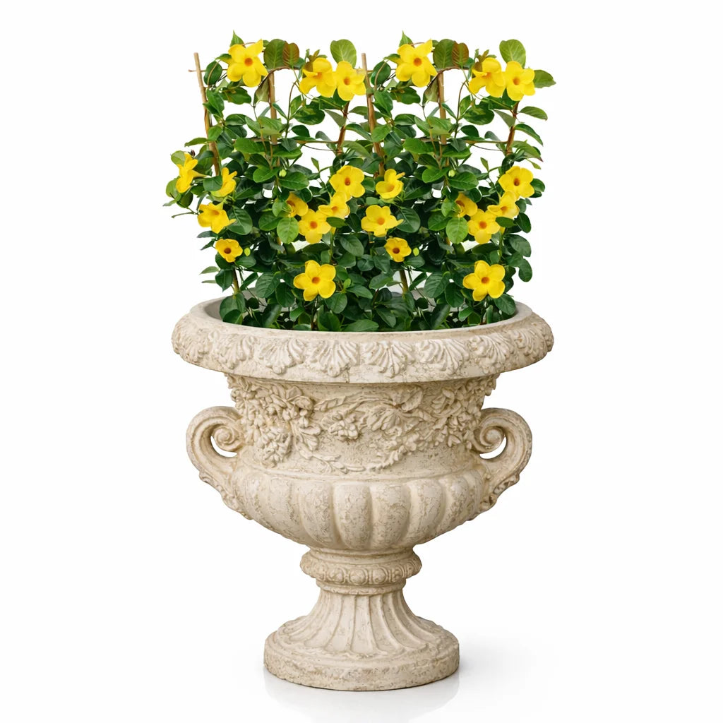 GRC POT NO 61