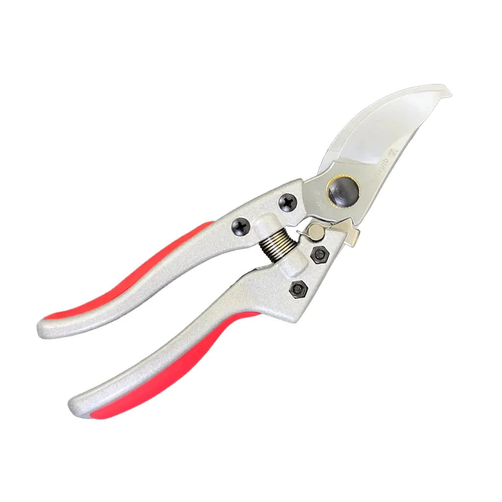 Pruning Shear Psgd