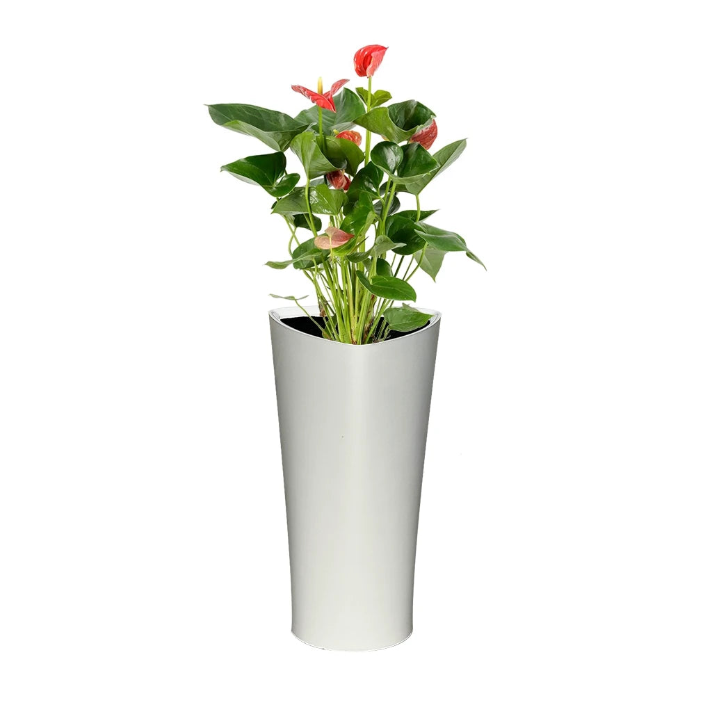 TRAINGULAR FIBER PLANTER