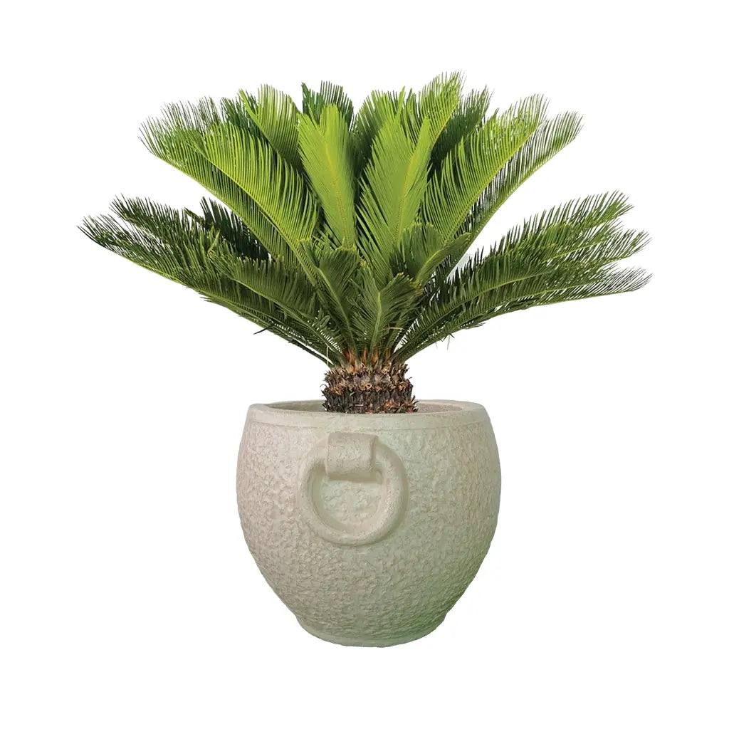 10 ROUND PLANTER WITH HANDLE GRC