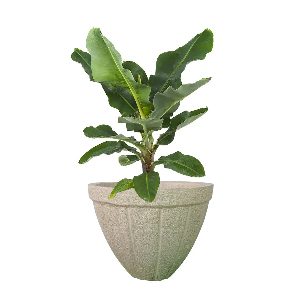 13 ROUND PLANTER GRC