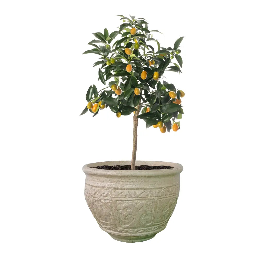 19 ROUND PLANTER GRC