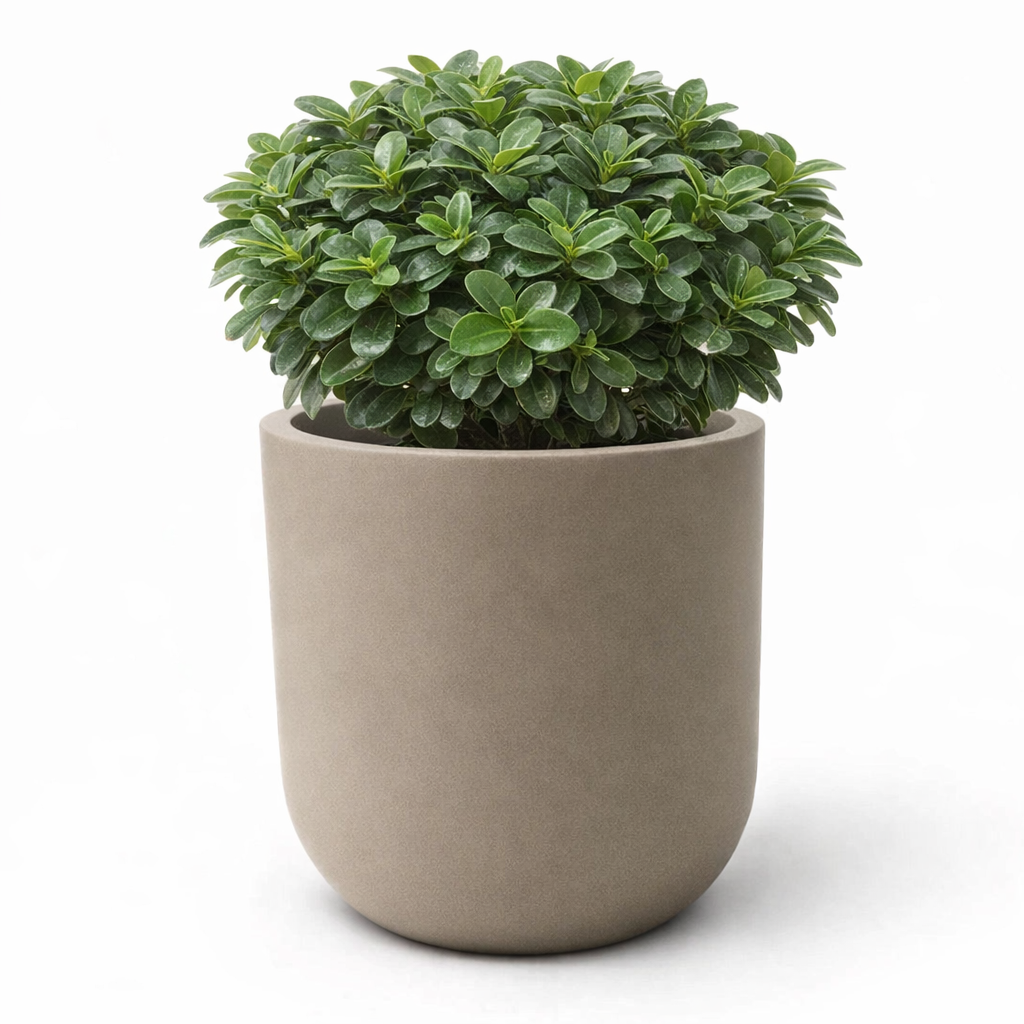 Fiber clay pot U shape