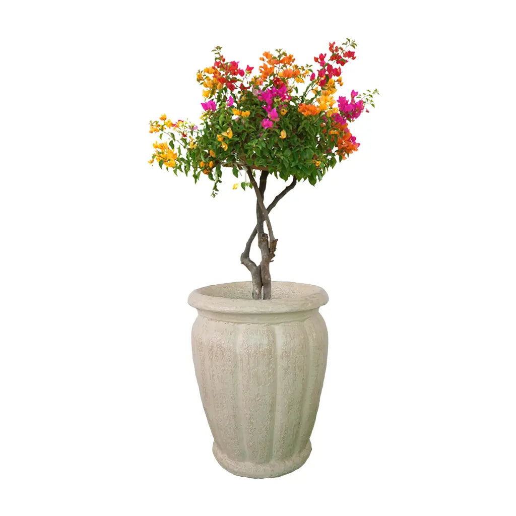 20 TABLA PLANTER GRC