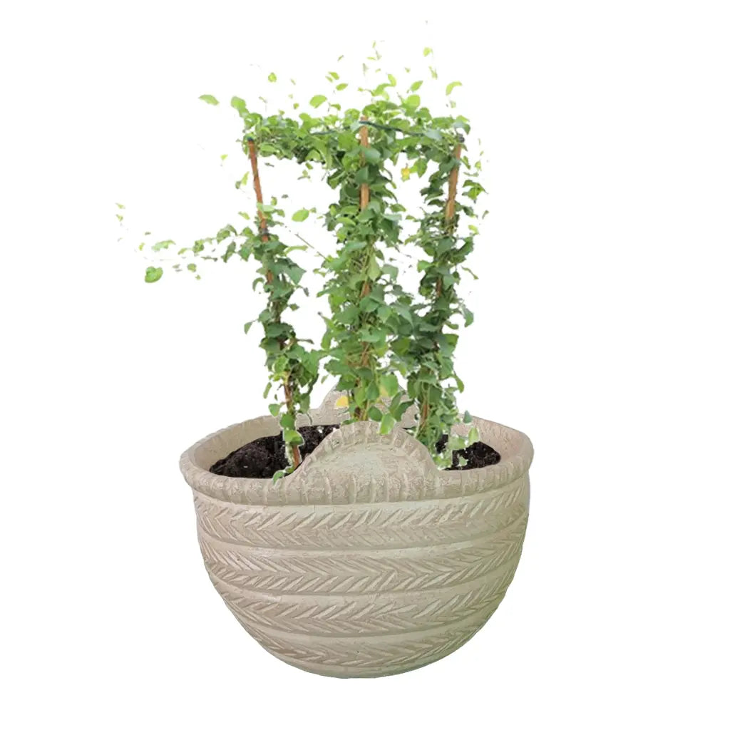 25 GRC  BASKET POT