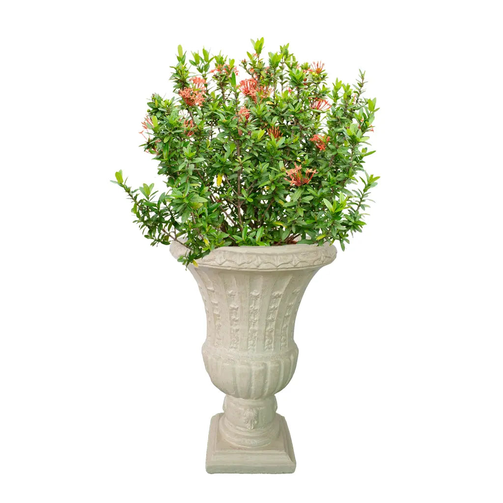 3 GLASS ITALY BIG PLANTER GRC