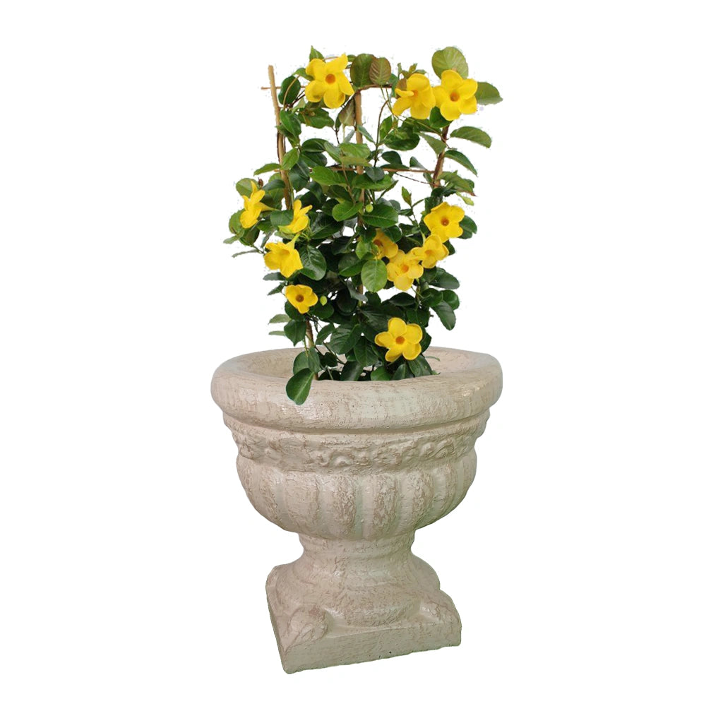 8 GLASS PLANTER GRC