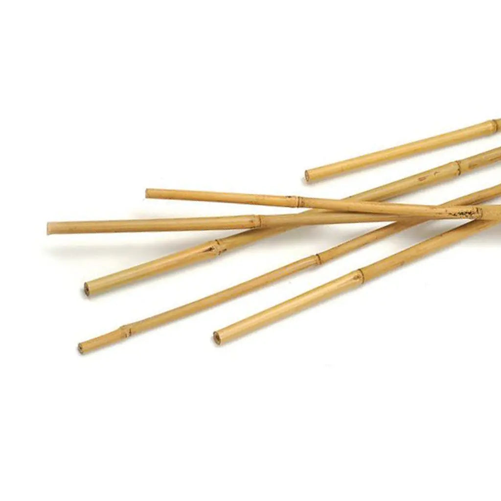BAMBOO STICK