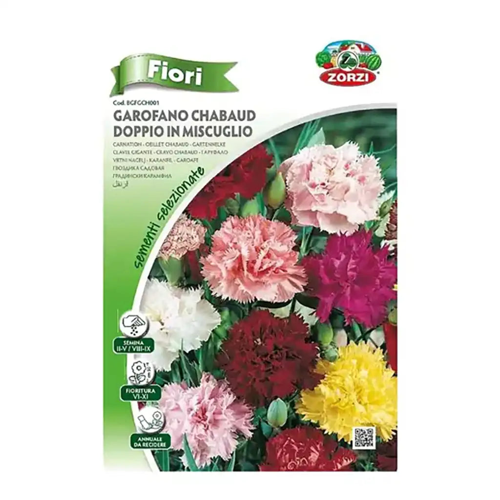 GAROFANO CARNATION - CARNATION DOUBLE FLOWER SEEDS