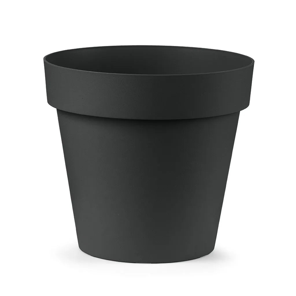 Vaso Cleo