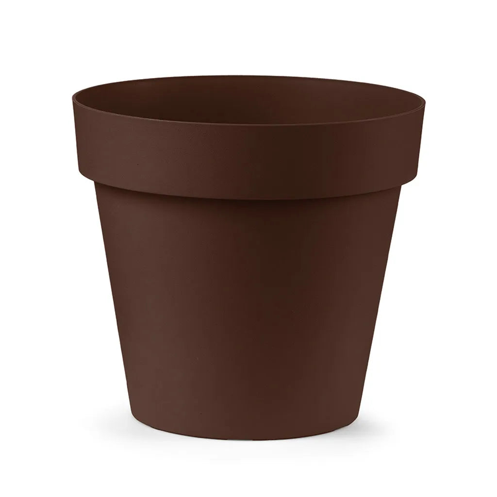 Vaso Cleo