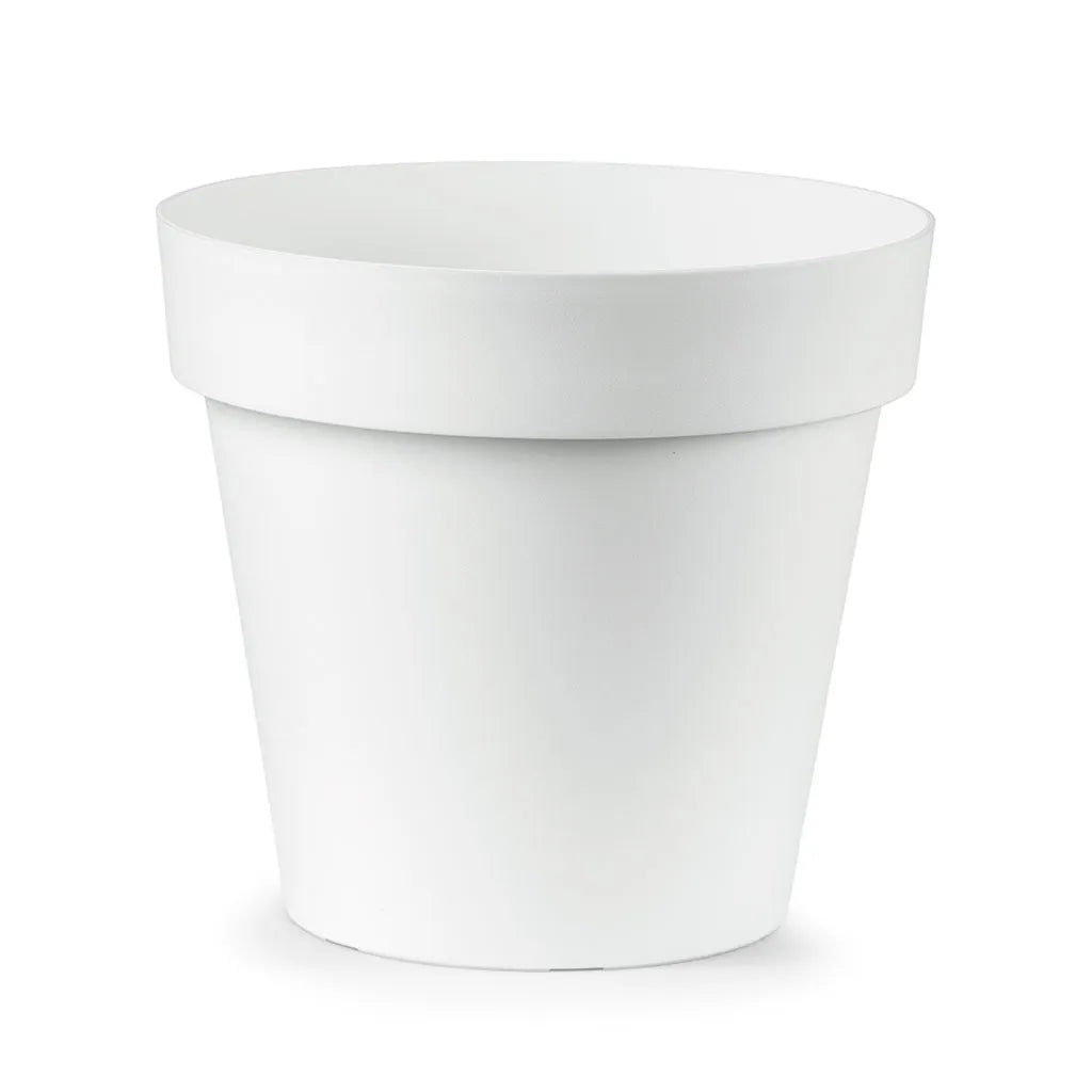 Vaso Cleo