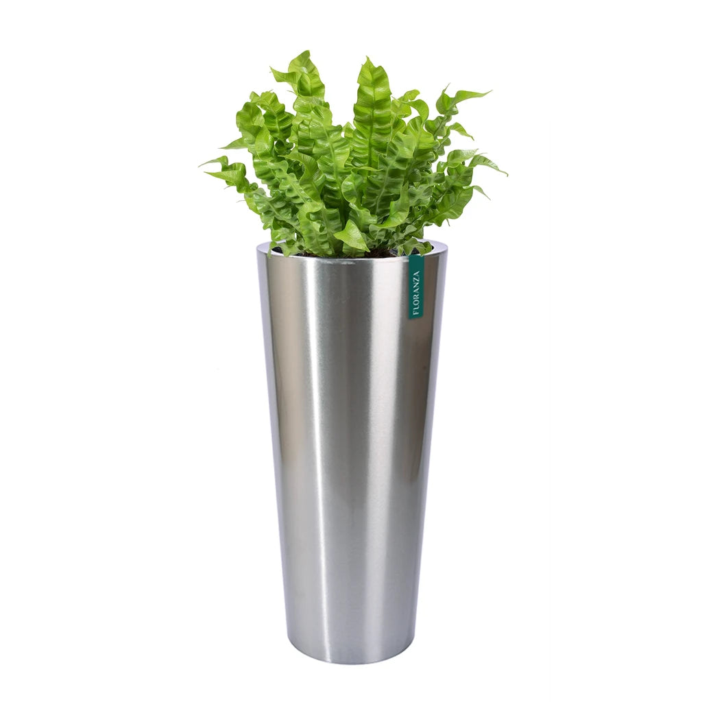 stainless steel pot planter CML CONICAL STAINLESS STEEL PLANTER MATT FINISH