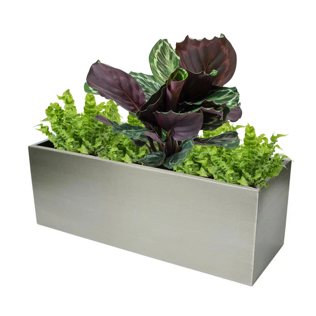 CML RECTANGULAR STAINLESS STEEL PLANTER MATT FINISH