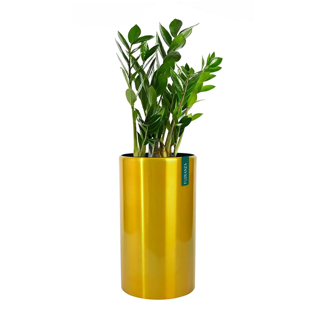 edelweiss indoor plant METAL ROUND PLANTER