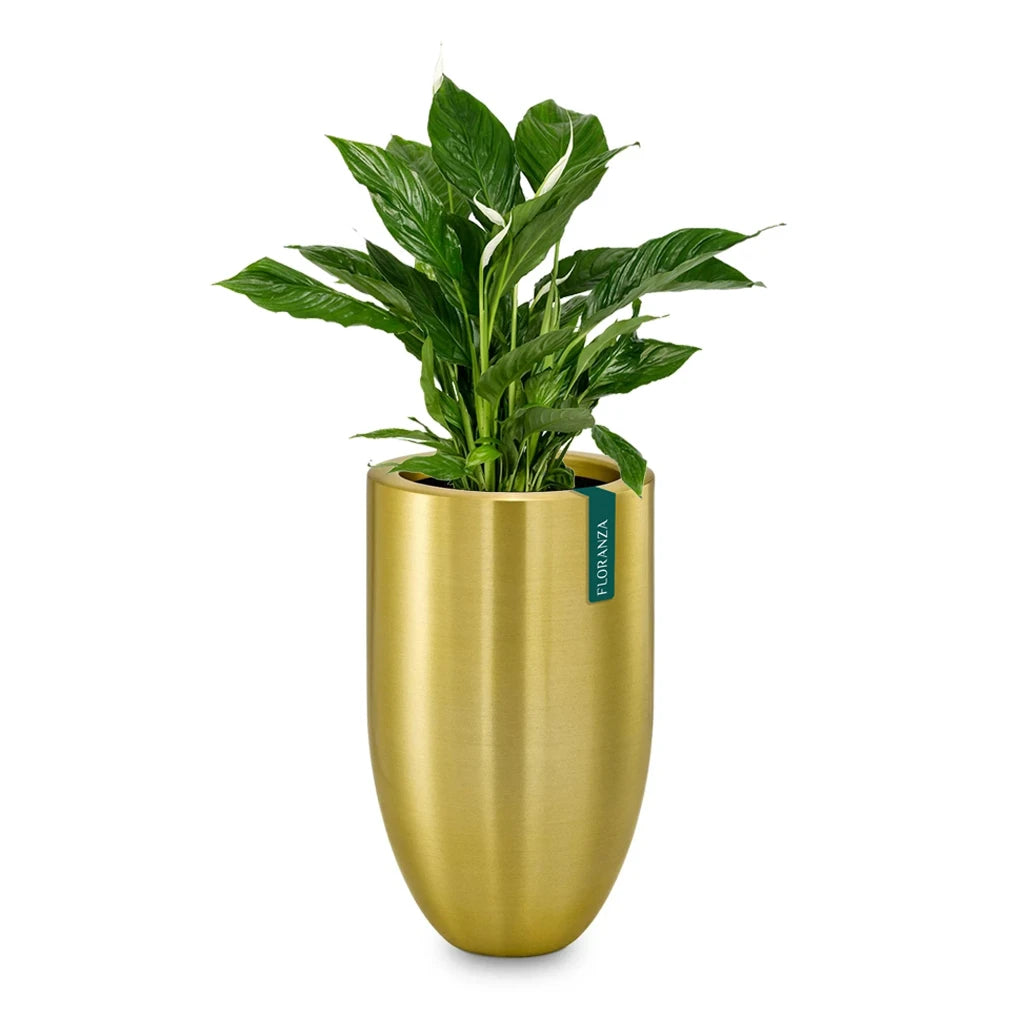 GOVER GOLD BALL SHAPE PLANTER