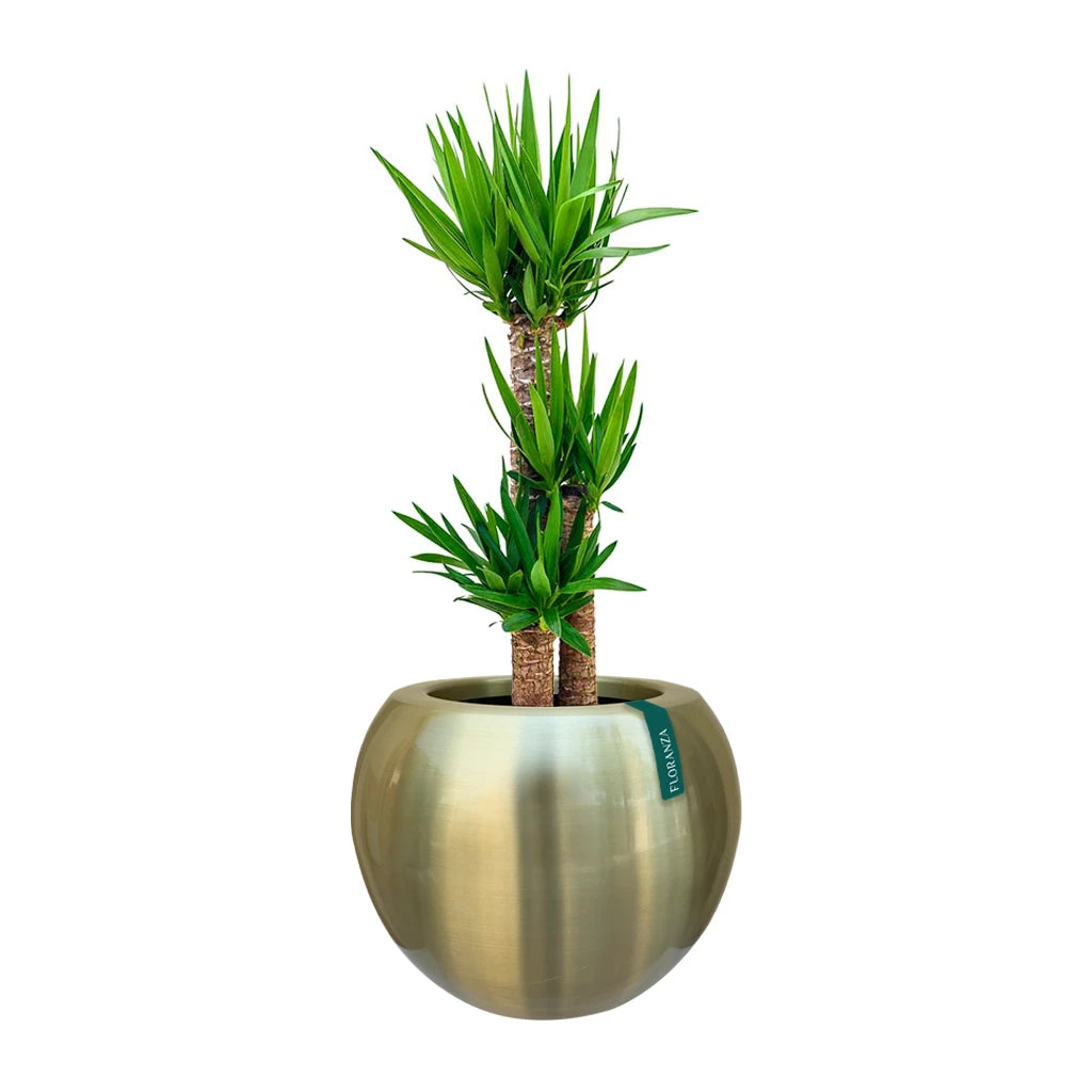 GOVER GOLD BALL SHAPE PLANTER