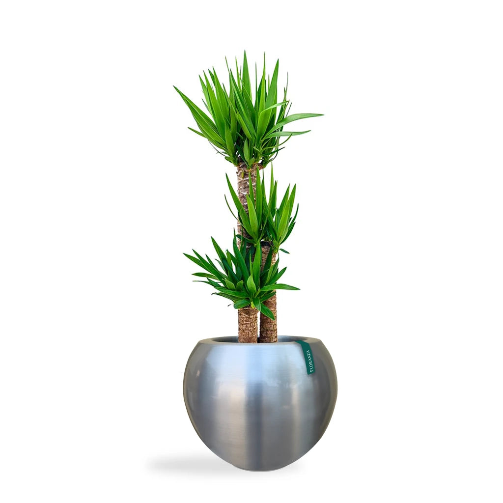 GOVER GOLD BALL SHAPE PLANTER