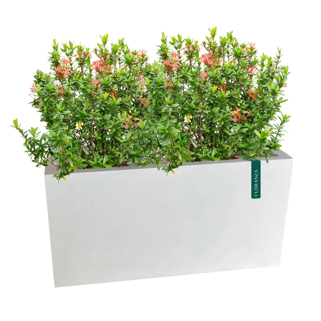 WHITE SMALL RECTANGLE PLANTER GRP 307/B POT