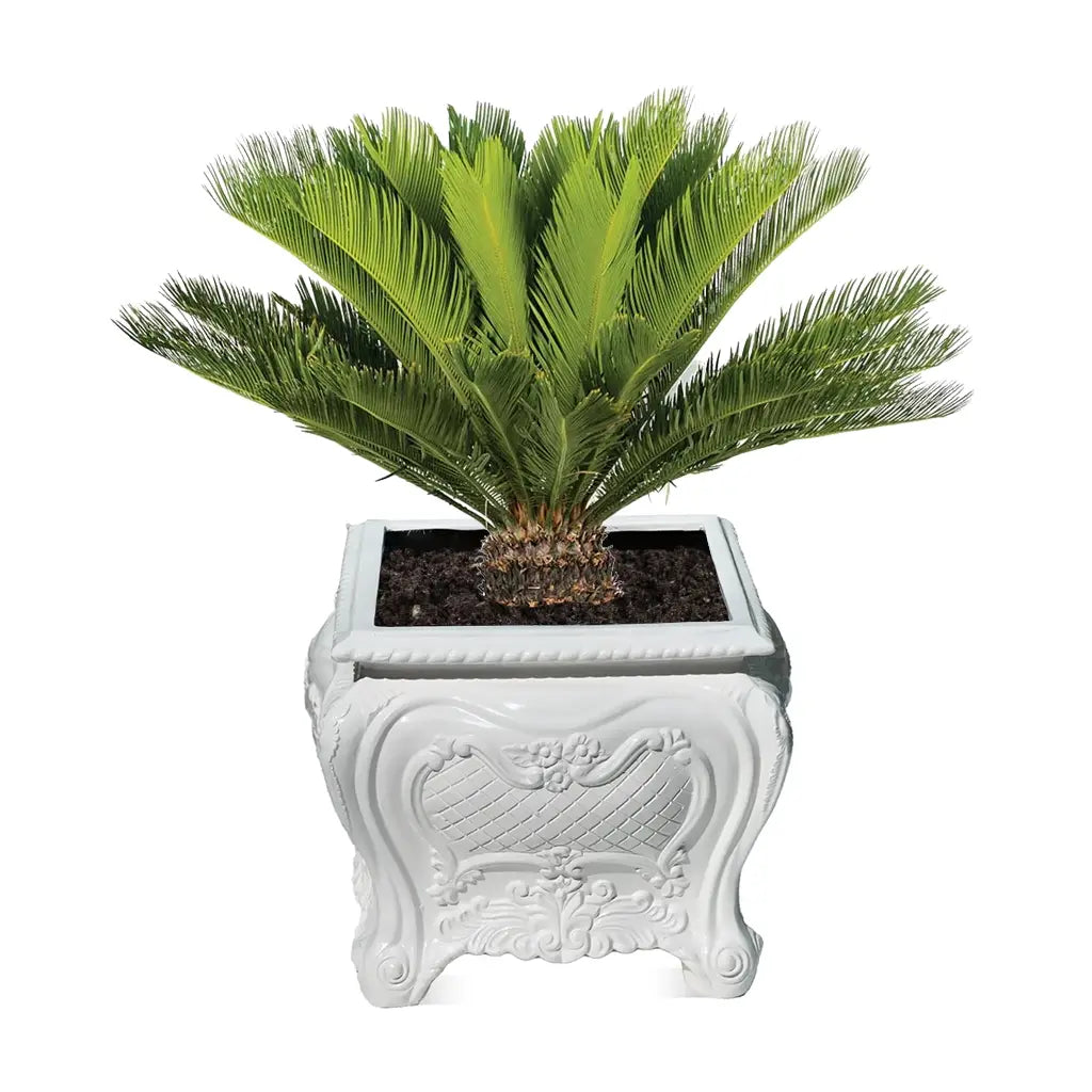 GRP DECOREX 102/A POT