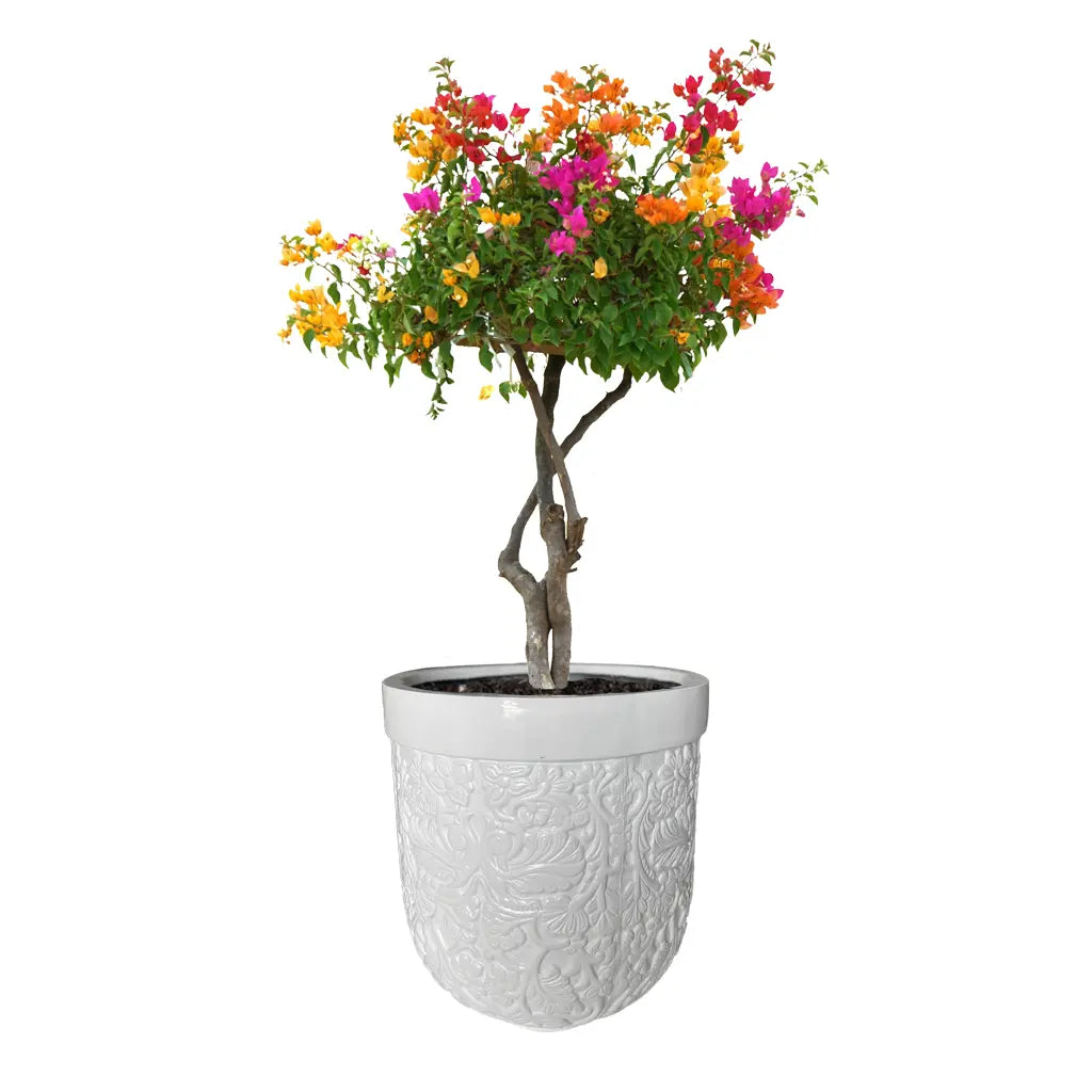 EXOTIC ROYAL DESIGN GARGEN GRP DECOREX 108/A POT