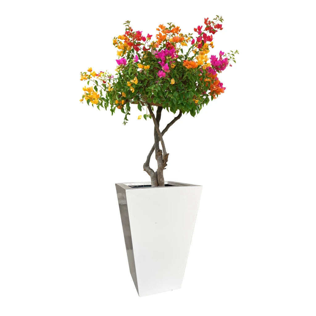 GRP DECOREX 302/A POT