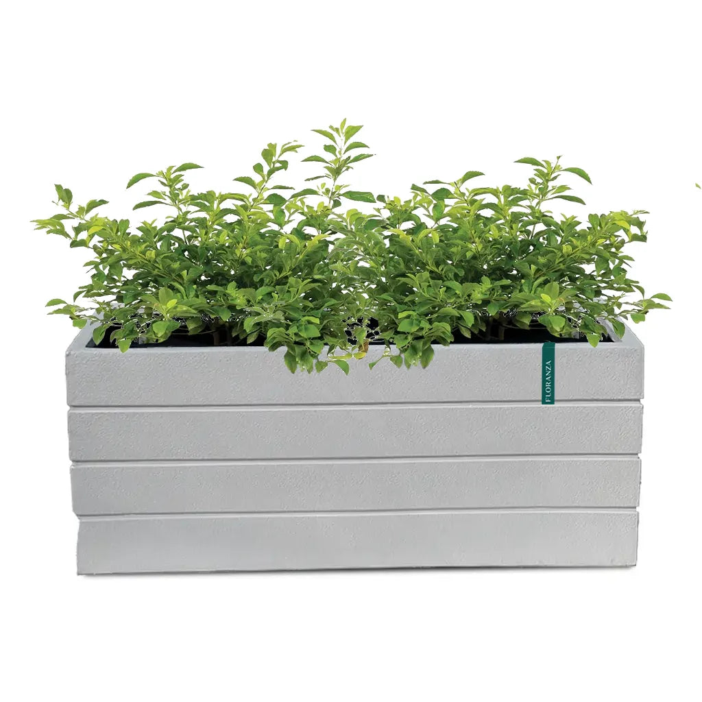 White Large Rectangle Planter  GRP 401/A POT