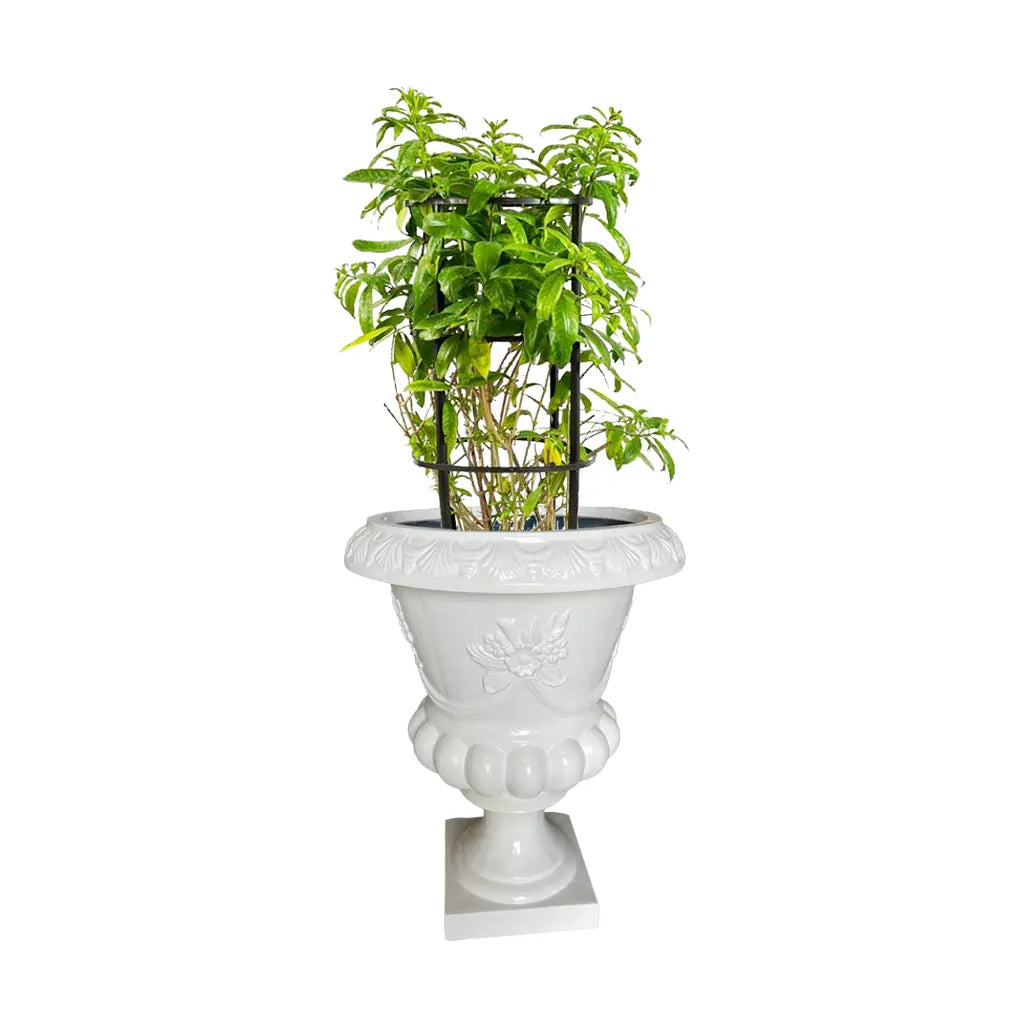 GRP DECOREX 505/E POT