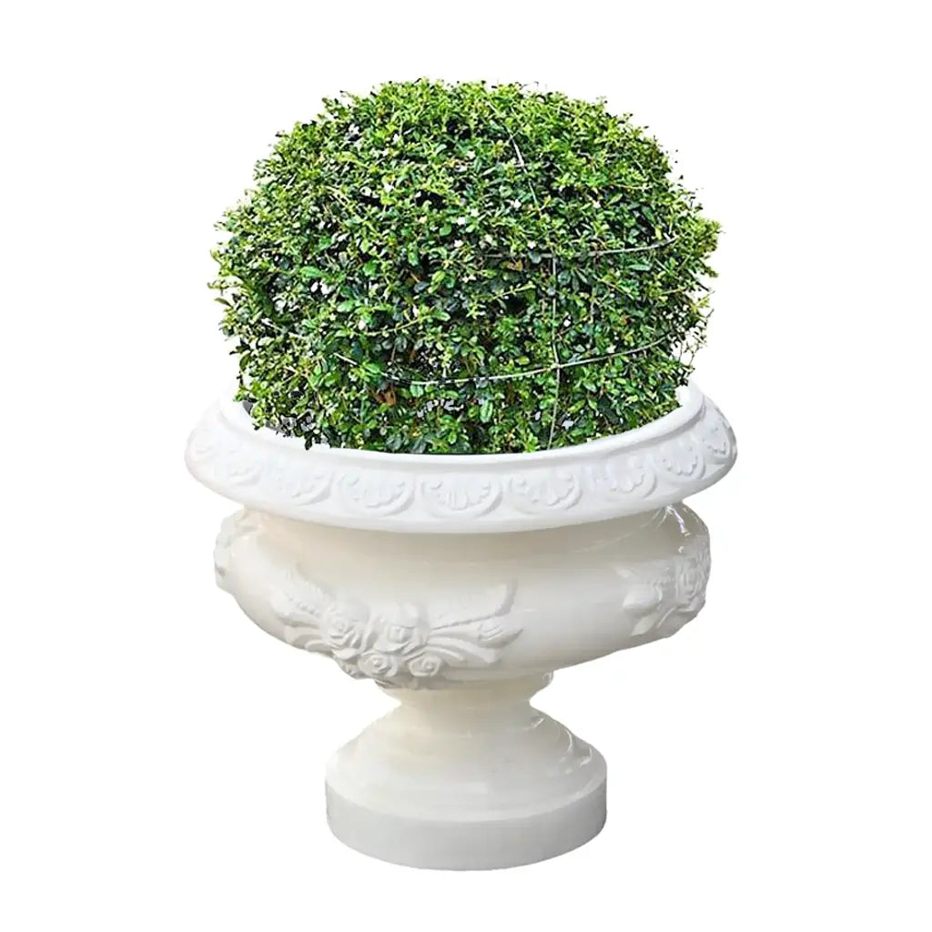 GRP DECOREX 506/C POT