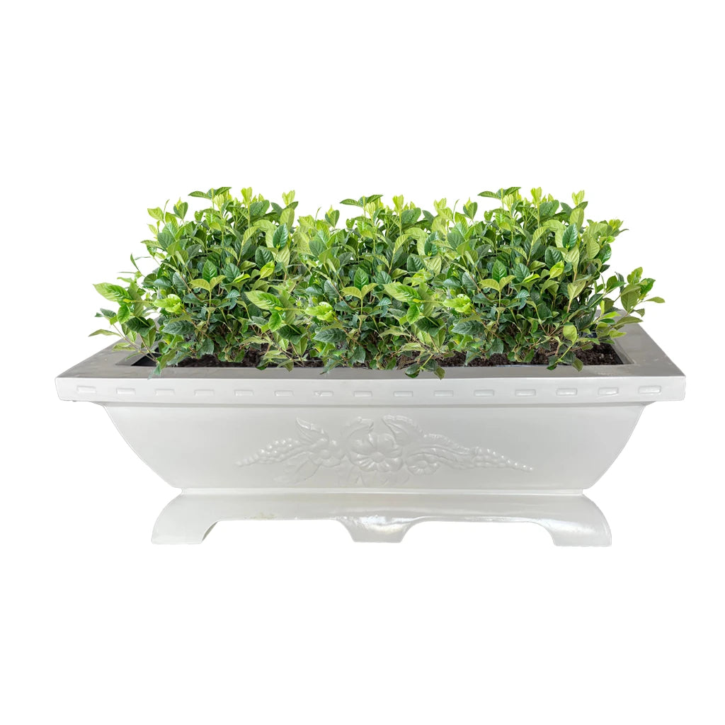 GRP DECOREX 904/B POT