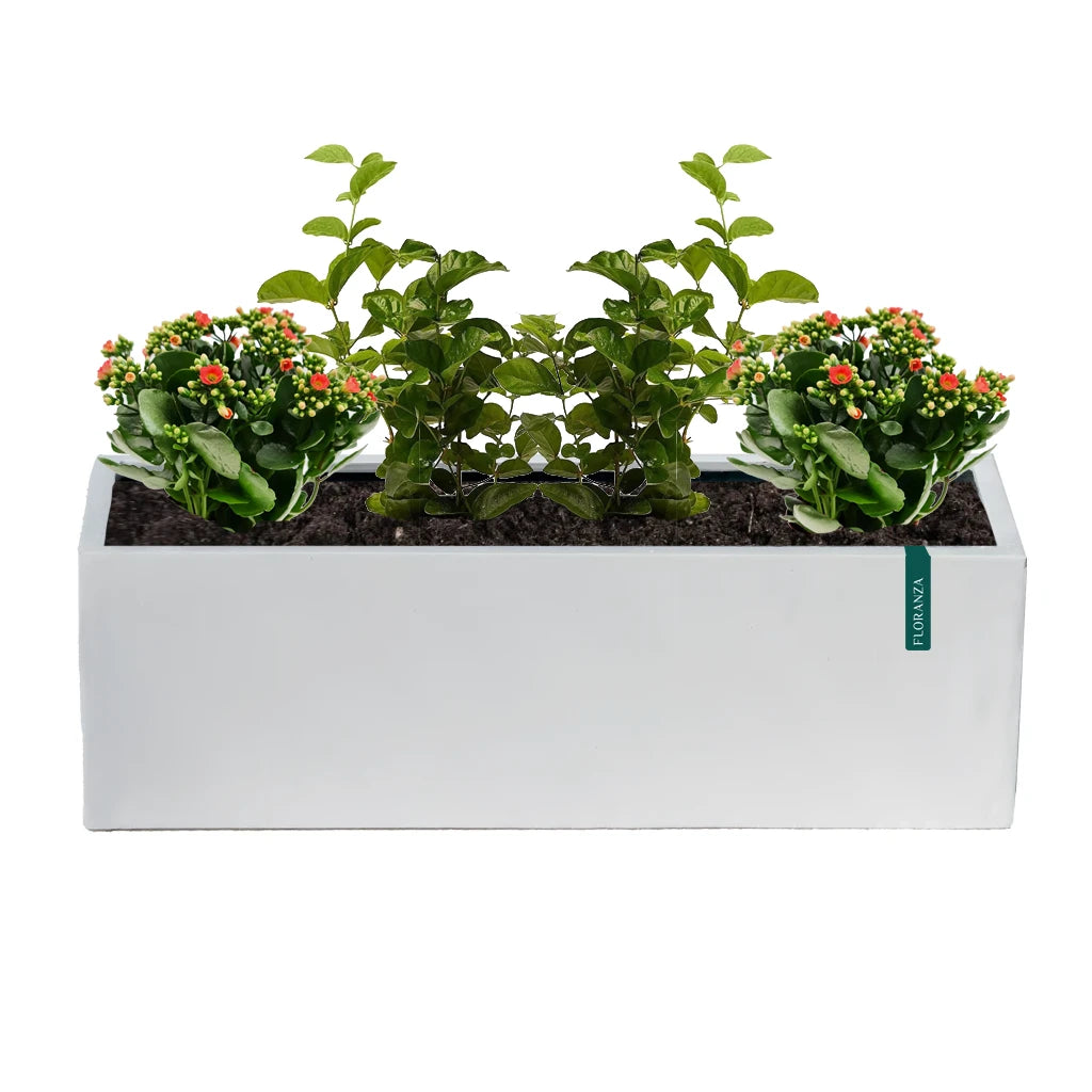 White Large Rectangle Planter GRP 307/A