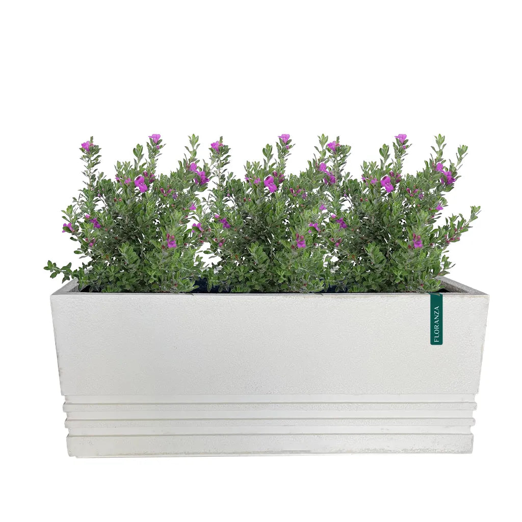 White Large Rectangle Planter GRP 403/A POT
