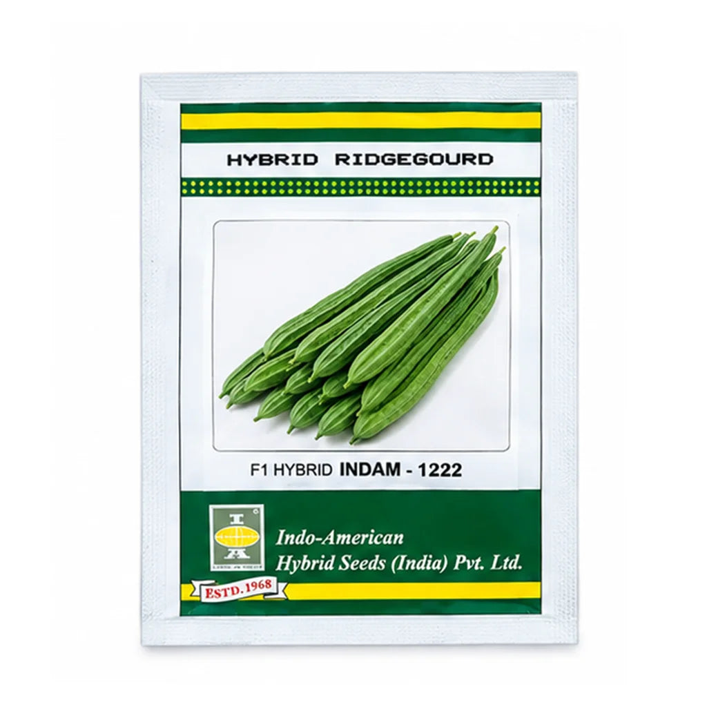 RIDGE GOURD- HYBRID SEED