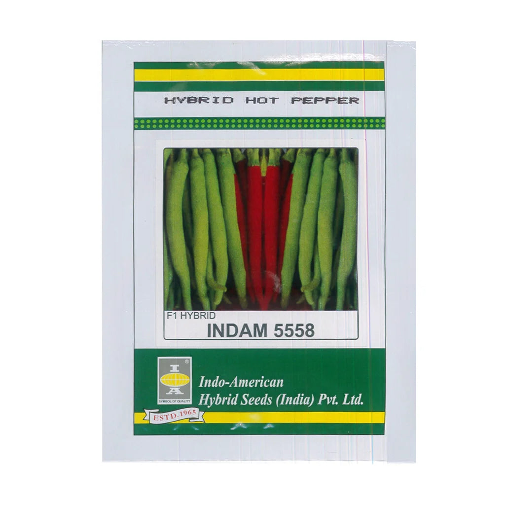 HOT PEPPER- HYBRID SEED