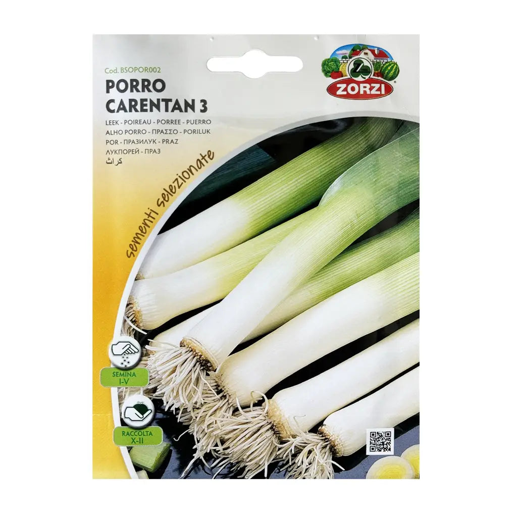 PORRO CARENTAN 3 BTS - LEEK SEEDS
