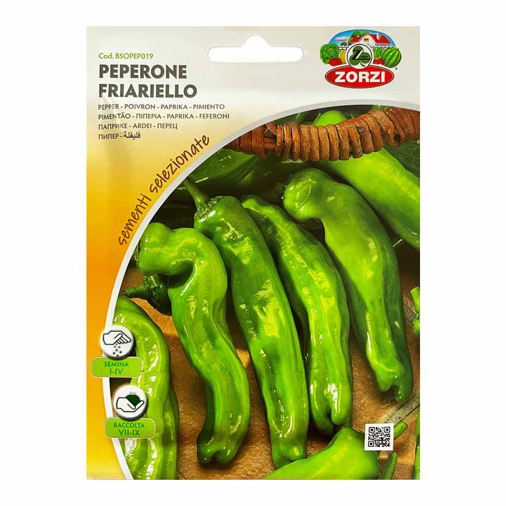 PEPERONE FRIGGITELLO (FRIARIELLO) BTS - LONG GREEN PEPPER