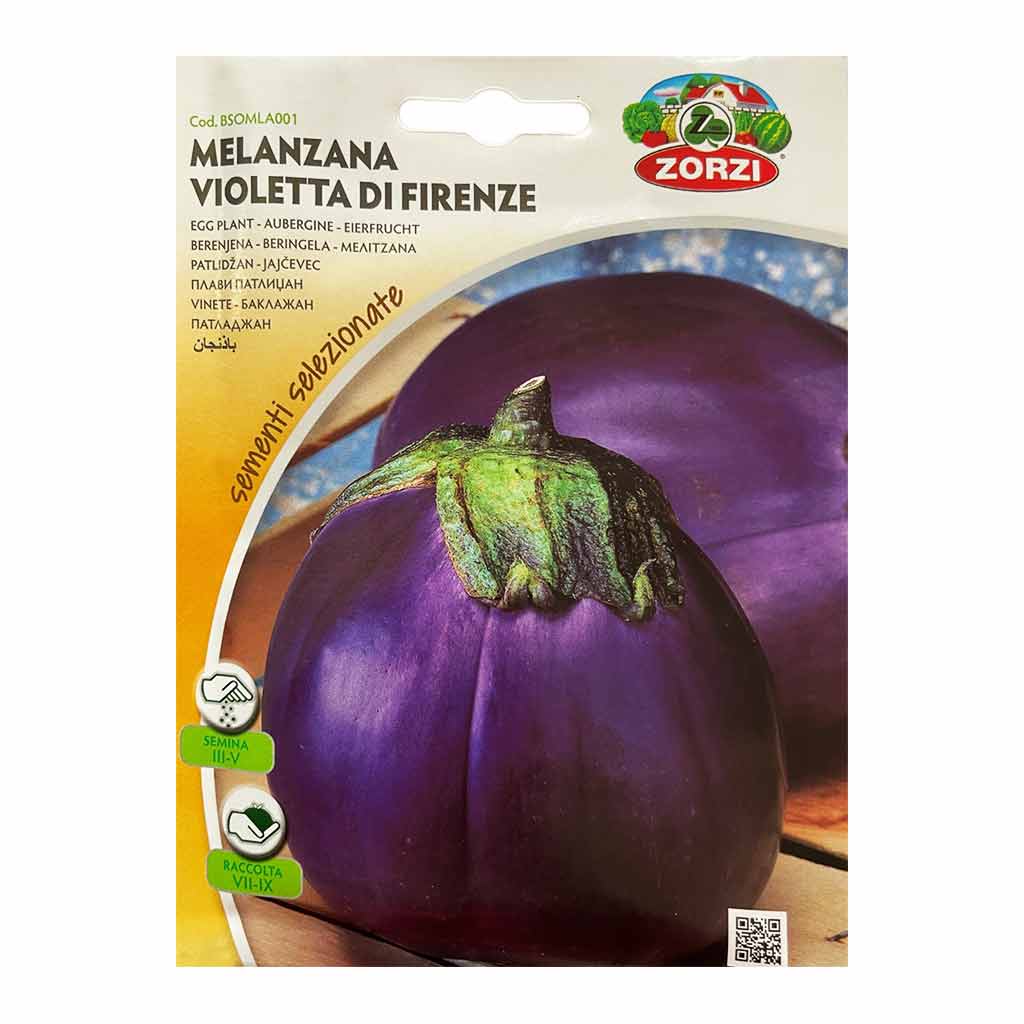 MELANZANA VIOLETTA DI FIRENZE BTS