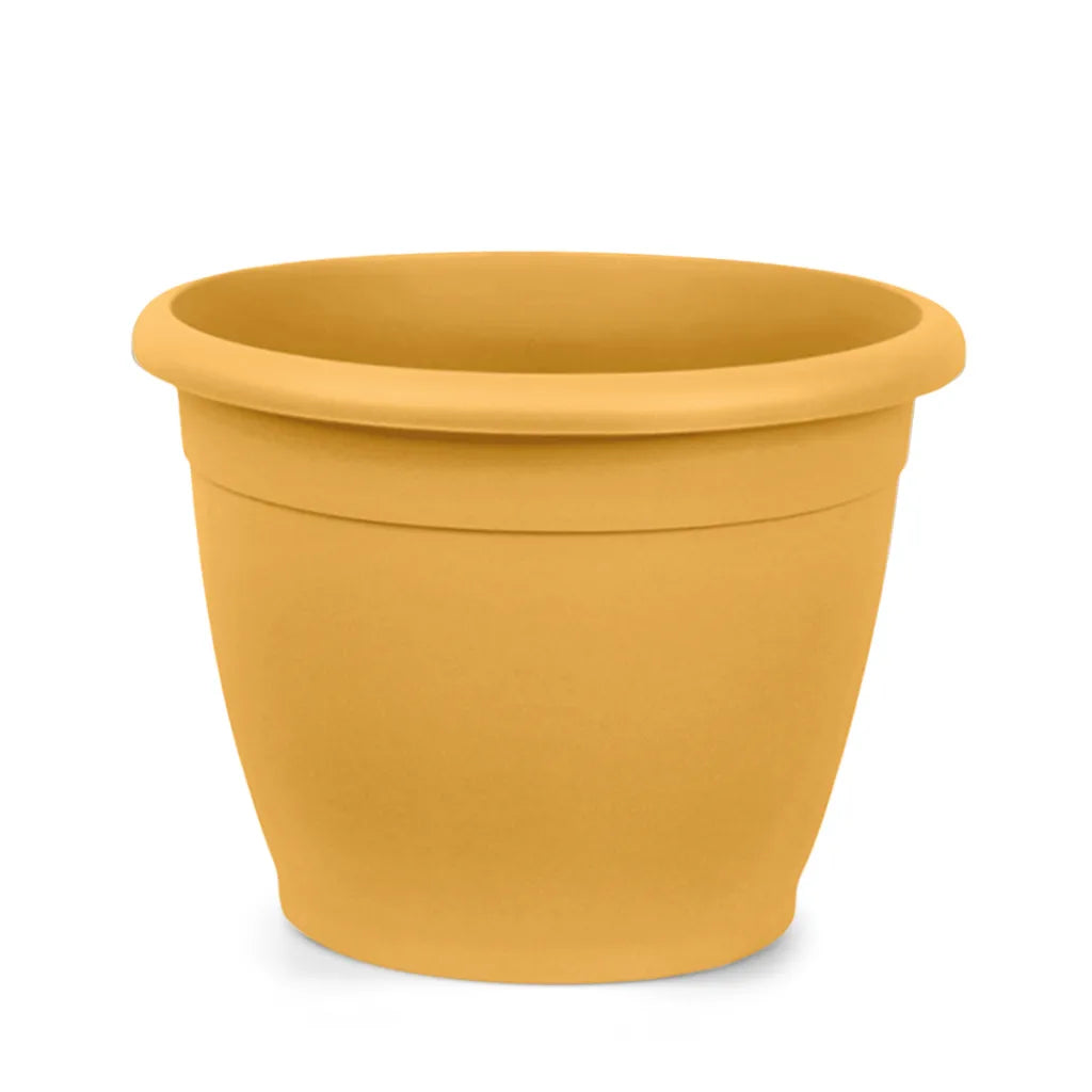 Vaso Naxos