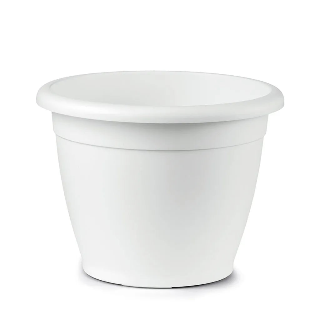Vaso Naxos