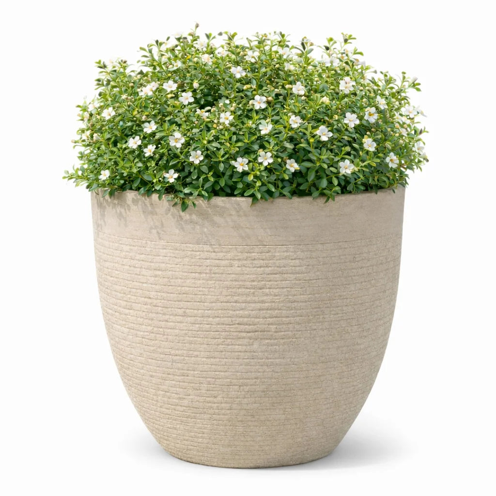 GRC ROUND POT NO 10