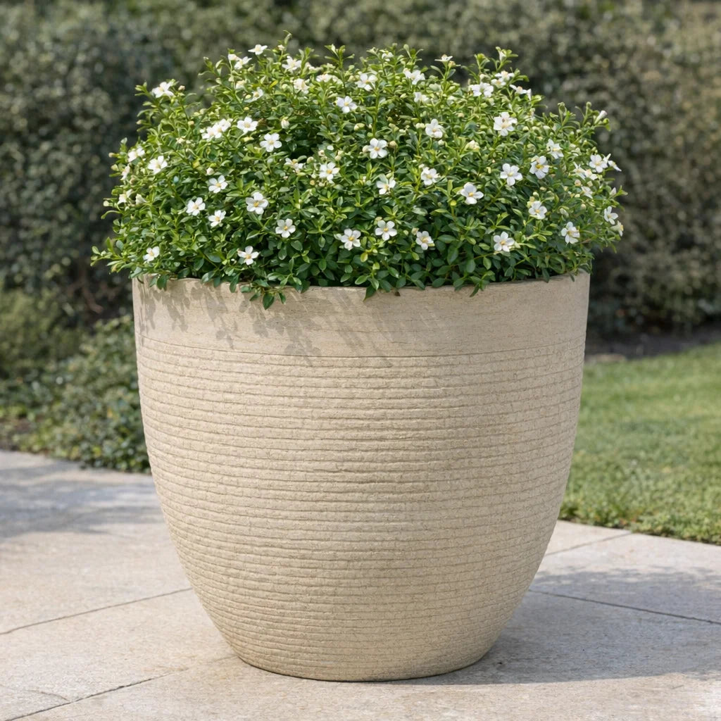GRC ROUND POT NO 10