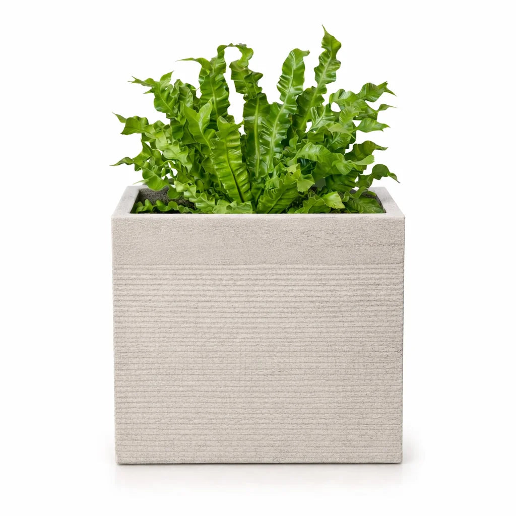 GRC POT NO 11