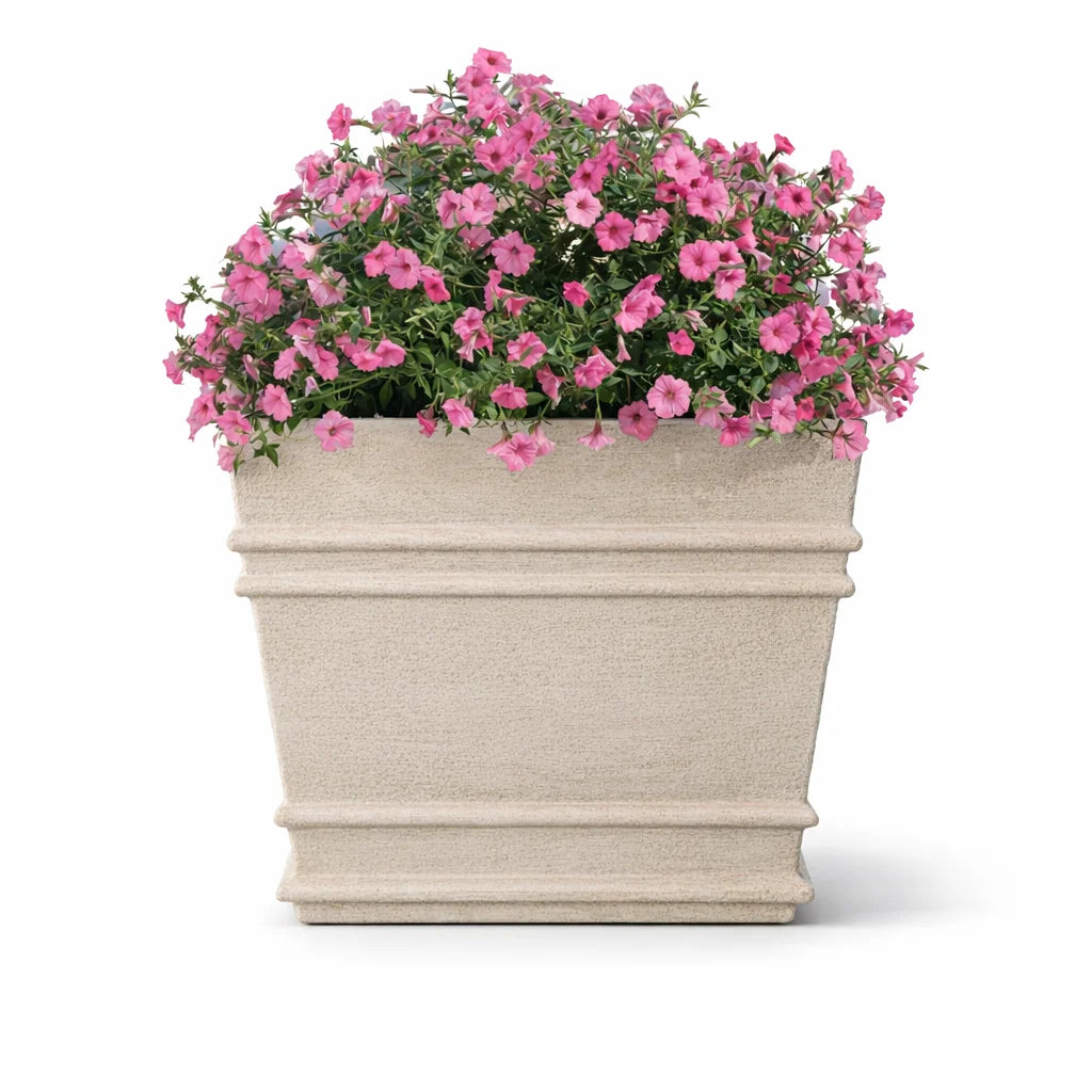 GRC POT NO 71