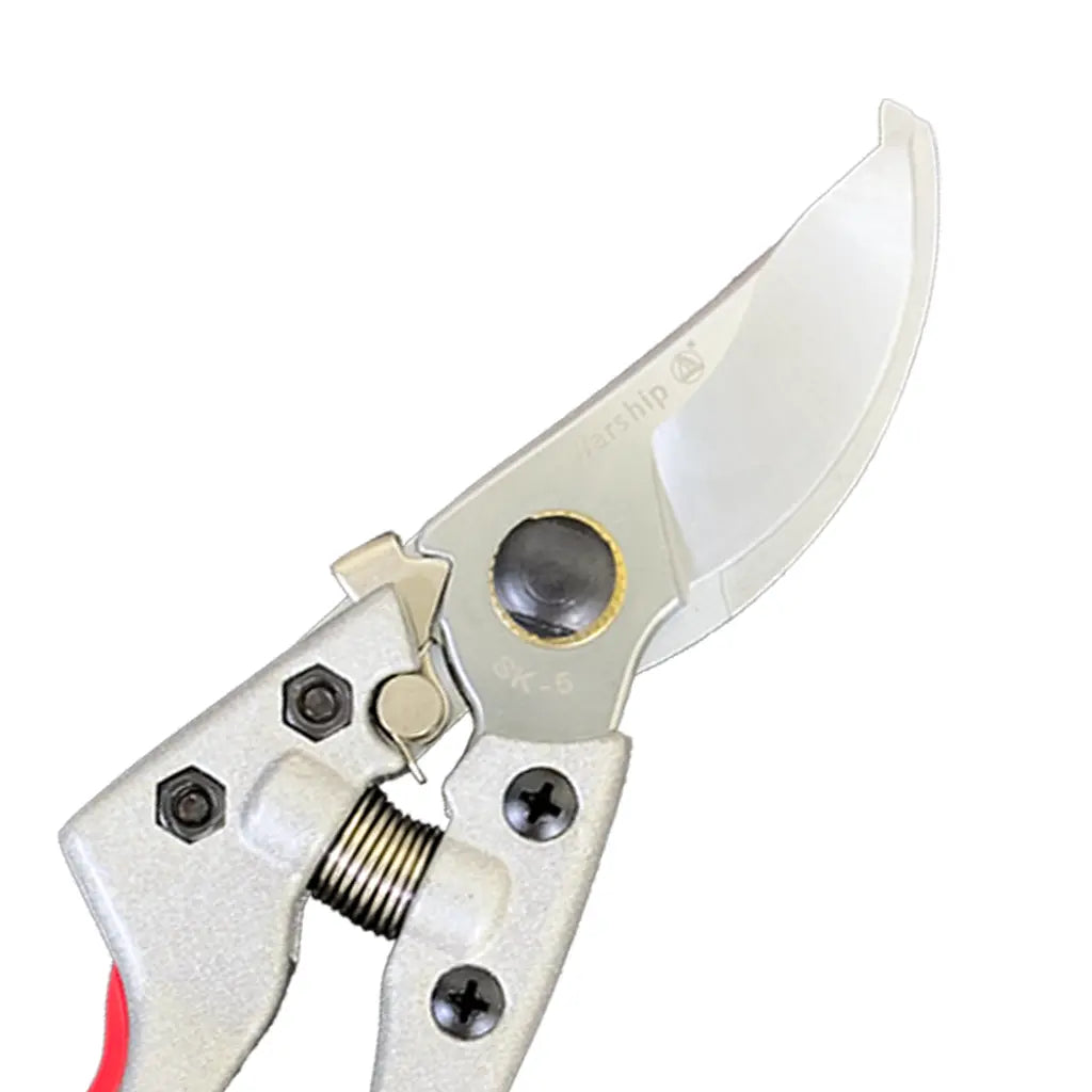 Pruning Shear Psgd